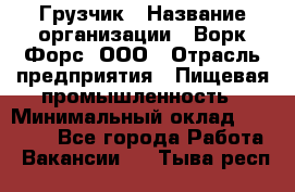 Грузчик › Название организации ­ Ворк Форс, ООО › Отрасль предприятия ­ Пищевая промышленность › Минимальный оклад ­ 25 000 - Все города Работа » Вакансии   . Тыва респ.